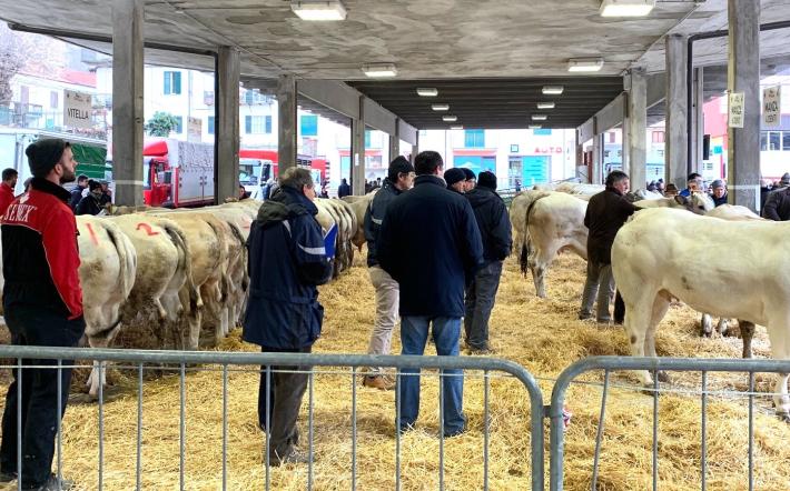 Ceva: è la settimana della Fiera di Santa Lucia