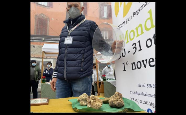 Cerca e cavatura del tartufo in lista patrimonio Unesco. Bressano (Trifolau del Monregalese) «Fanno sorridere le ostentazioni improbabili il cercatore tiene ai suoi segreti»