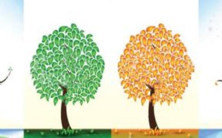 Una "fiammata" di caldo, intanto i funghi spuntano copiosi