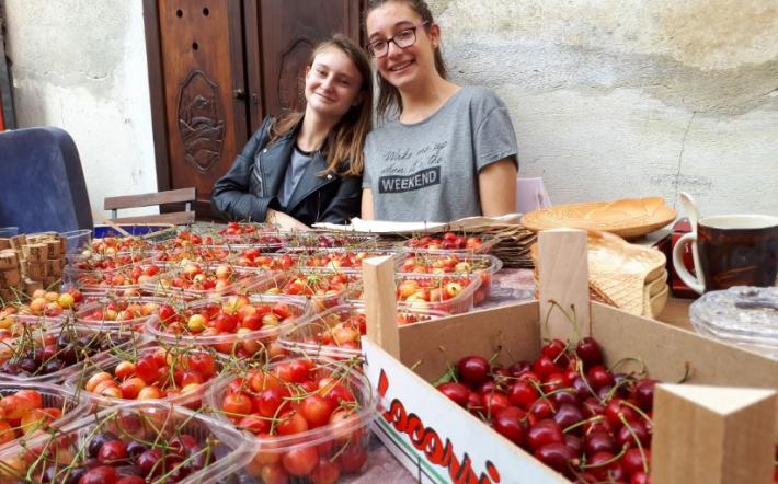 Dogliani: l’amministrazione sposta la Fiera della Ciliegia a giugno