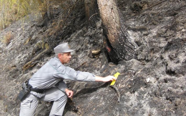 Incendi boschivi: già 7 denunce da inzio anno in Piemonte 