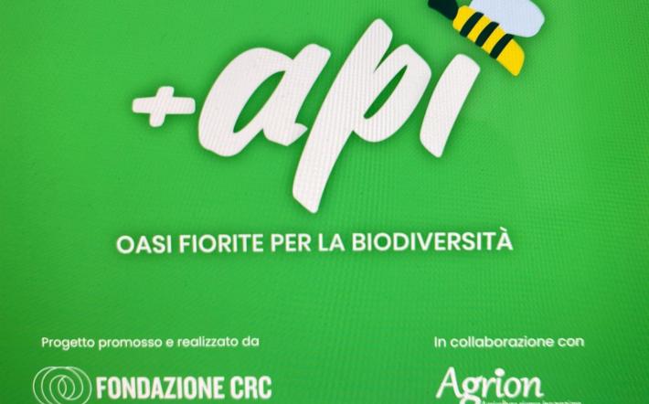Anche Briaglia aderisce al progetto +Api