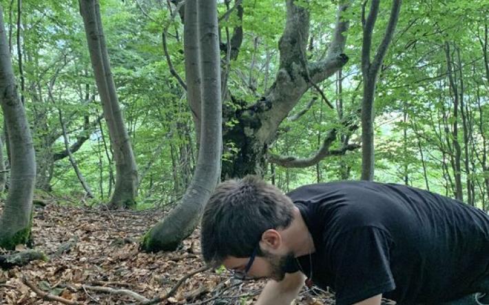 Nuove specie nella fauna del suolo del Parco del Marguareis
