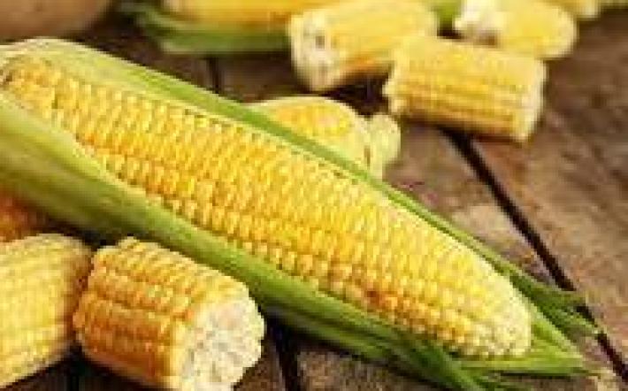 Caro materie prime: Coldiretti propone di aumentare la produzione italiana 