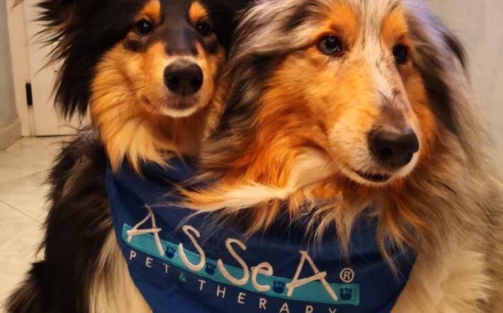 Pet Therapy in arrivo nelle scuole di Carrù