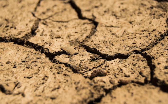 Siccità, l’allarme di Mondoacqua e la richiesta: «Riducete in consumi di acqua»
