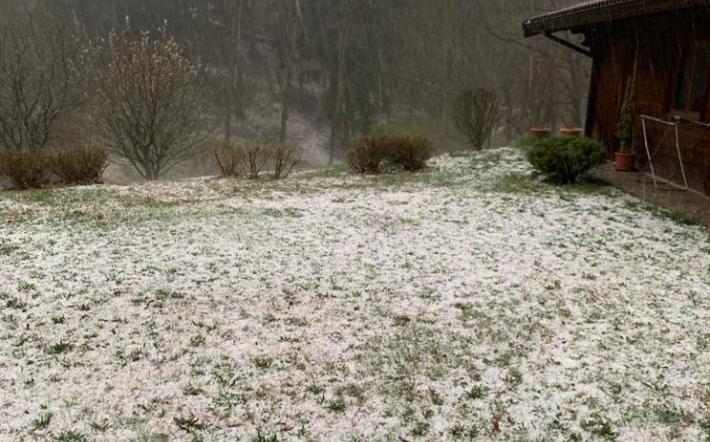 Piccola grandinata ieri sera a Dogliani: le viti, ancora in germogliamento, non dovrebbero aver subito danni