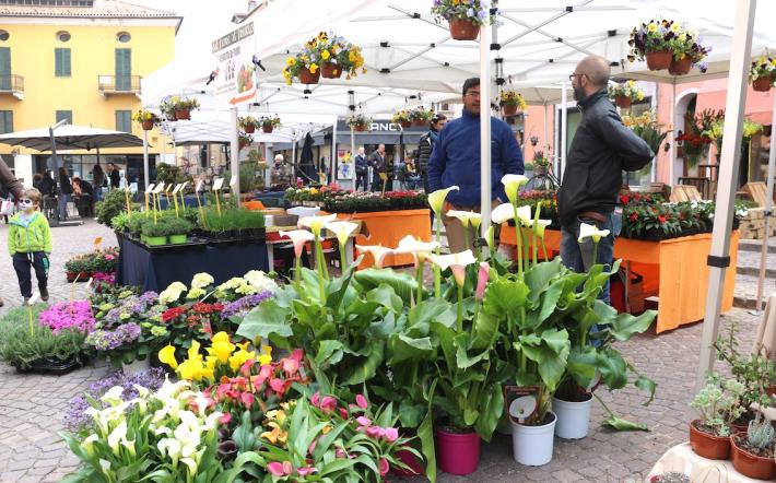 CHE COSA TROVERETE ALLA FIERA DI PRIMAVERA 20022? ECCO LA GUIDA DEGLI STAND