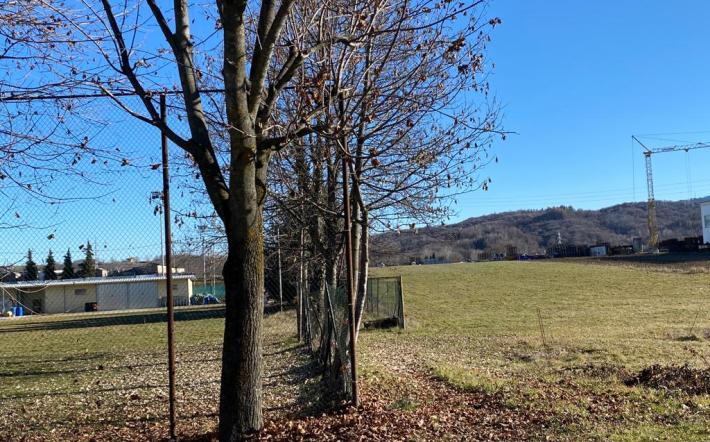 Pianfei: presentato in Consiglio il progetto del “parco dei ragazzi”