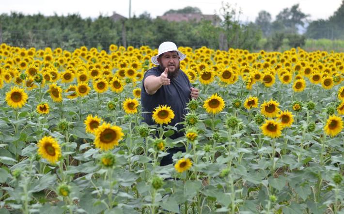 A Farigliano un labirinto di girasoli!