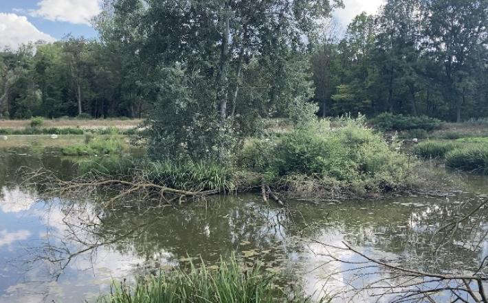Inaugurati due nuovi capanni all’Oasi di Crava Morozzo