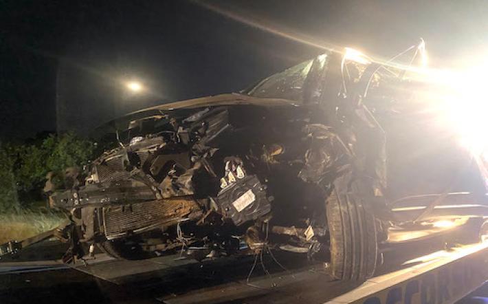 Villanova Mondovì, auto urta un cinghiale e finisce fuori strada: muore donna di 55 anni