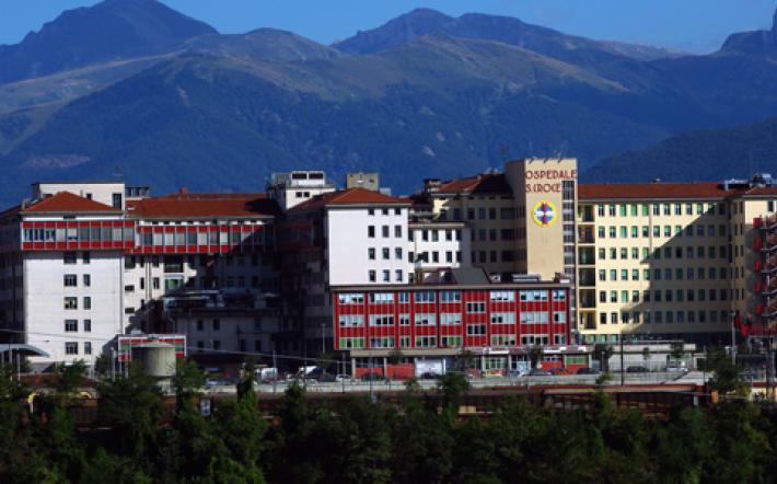 Peveragno: donna punta da vespe muore per shock anafilattico