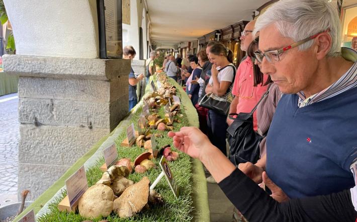 Ceva: confermate le date della 63ª Mostra nazionale del Fungo di Ceva