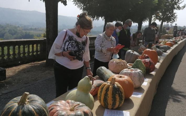 Piozzo: torna la Fiera della Zucca e si allunga fino all’Alba Rosa