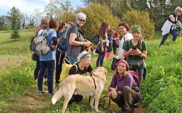 Il Canile Rifugio 281 ha camminato per gli animali