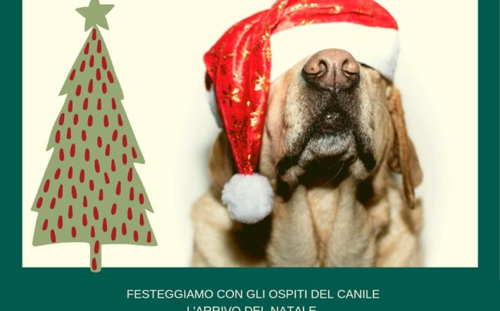 Un mercatino di Natale ecosostenibile e solidale al Canile Rifugio 281