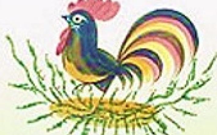 Da una montaldese la critica al &ldquo;Gallo&rdquo; addormentato durante il raduno