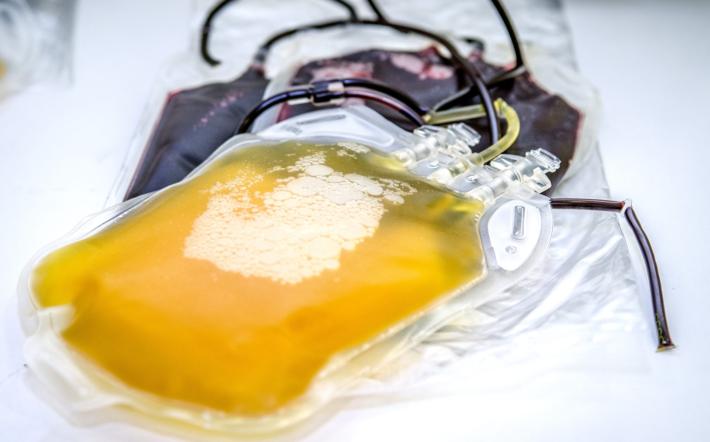 Record di nuovi donatori per la Fidas Monregalese