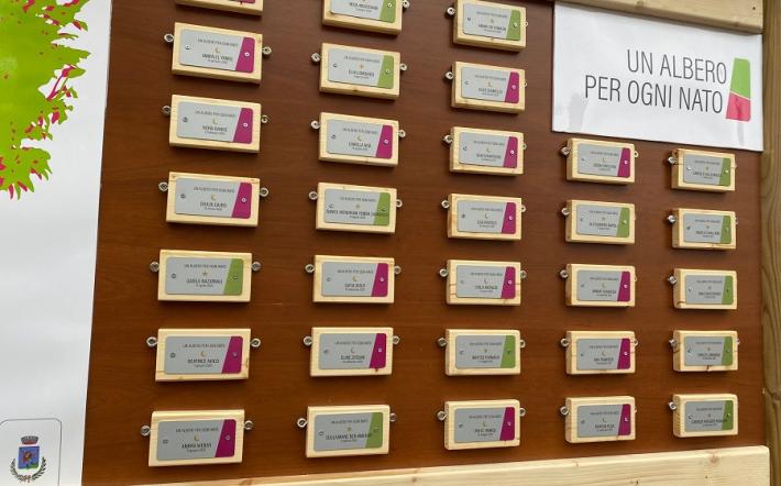 San Michele Mondovì ripropone l’iniziativa “Un albero per ogni nato”