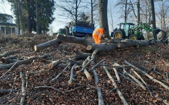 Chiusa Pesio: il Comune si prende cura del patrimonio verde
