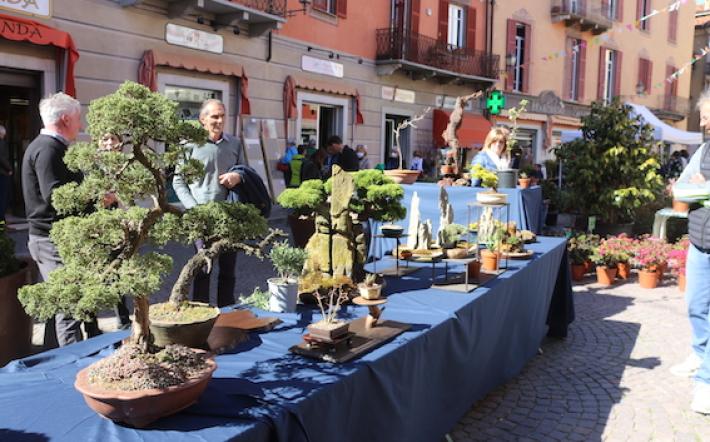 La tradizione di prodotti mercatali, la novità di floricoltura e florivivaismoMondovì, la nuova Fiera di Primavera esalta piante, fiori e musica. Ci sono 12 pagine centrali del giornale che si possono