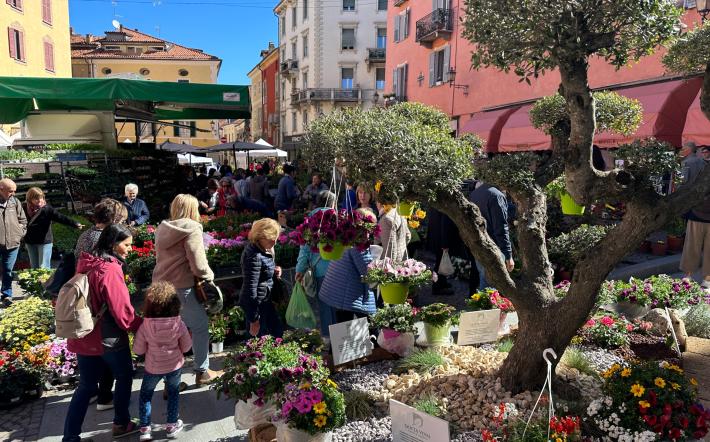 Mondovì, Fiera di Primavera 2023: successo di pubblico, apprezzata la scelta a favore del floreale