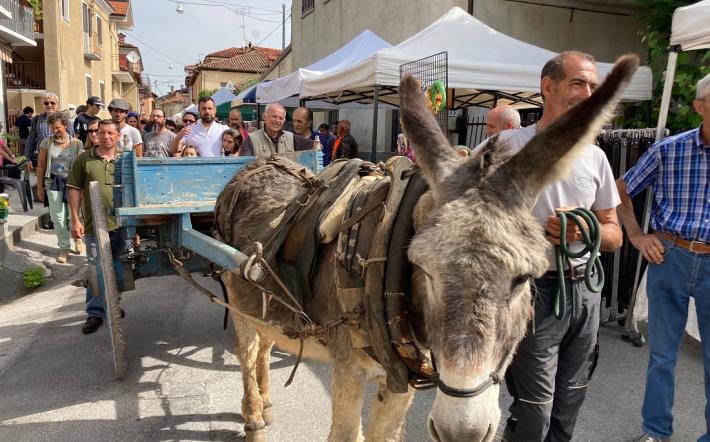 Monastero: il programma della Fiera “Un Asino per Amico”