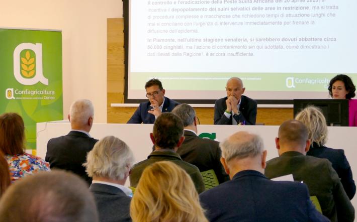 “Se la peste suina arrivasse nella Granda: danni per oltre mezzo miliardo di uero, cerca dei tartufi annullata, in crisi filiera del prosciutto e outdoor”