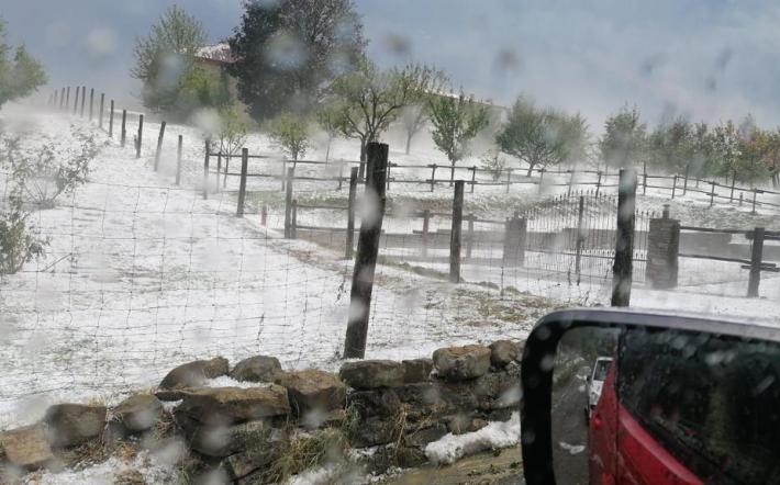 Grandinata in Langa: avviate le procedure per lo stato di calamit&agrave;