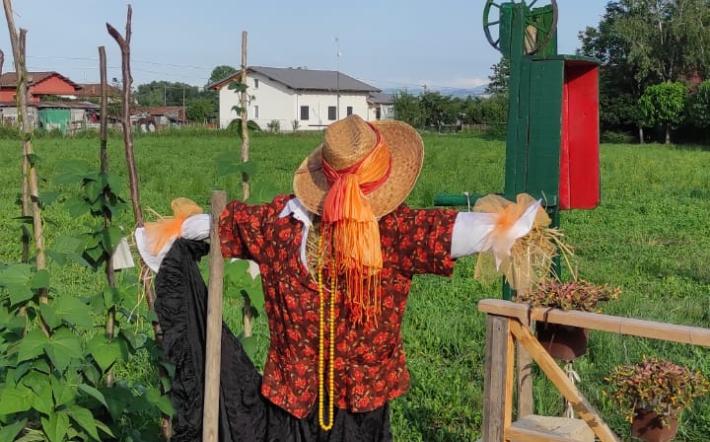 Un nuovo campo sperimentale di fagiolo pois a Crava