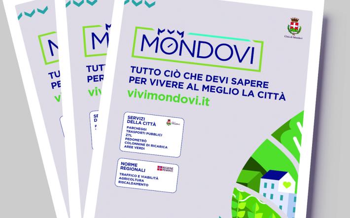 Robaldo, sindaco di Mondovì: «Stop Euro5: torniamo al buon senso, nell’interesse dei cittadini e dei lavoratori». «Le norme"? Non le ha inventate Cirio»