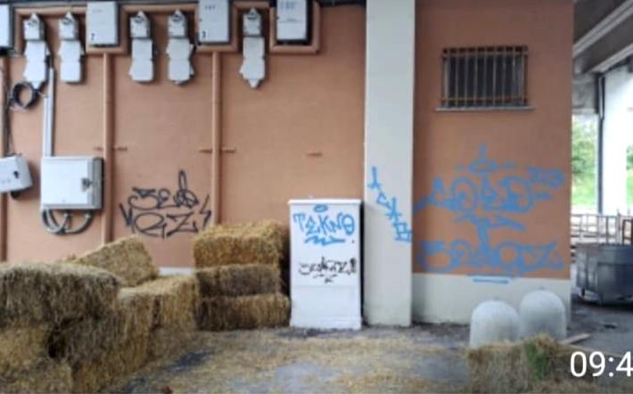 Mondovì, imbrattati i muri dopo il Palio 2023: l’amarezza di sindaco e assessore