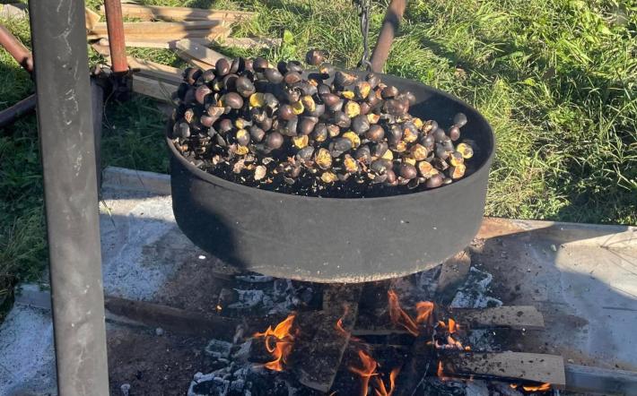 Frabosa Sottana svela la nuova “Sagra della Castagna”