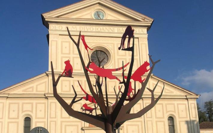 Sulla piazza centrale di Farigliano è comparso l’Albero dei Gat Ross