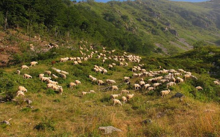 Chiusa Pesio: nel fine settimana il festival “Parole dalle terre alte”
