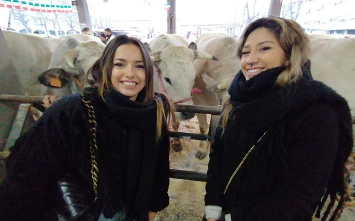 Fiera del Bue Grasso, ecco le prime indiscrezioni: confermato il percorso per vedere da vicino i capi