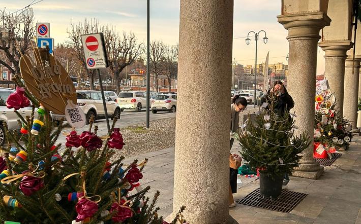 I Licei si aggiudicano il contest del Circolo delle Idee “Alberi di Natale”.