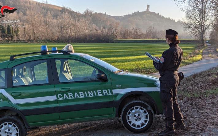 Carabinieri Forestali di Cuneo: 12.700 controlli, sanzioni per 870 mila euro e 4 arresti, rilevati oltre 700 illeciti