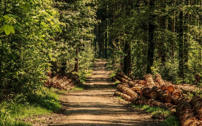 Frabosa Sottana: la filiera del legno tra opportunità e sviluppo: convegno di Confagricoltura