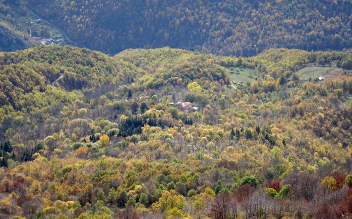Ormea: atti vandalici ai danni di un frutteto