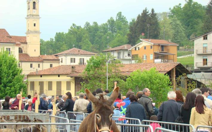 Monastero: ufficiale il programma della Fiera “Un Asino per Amico”