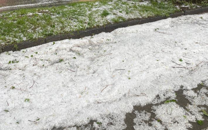 MALTEMPO, COLDIRETTI CUNEO: LA GRANDINE NON RISPARMIA CEREALI E FRUTTA IN PROVINCIA DI CUNEO