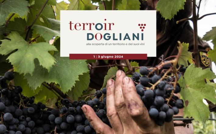 “Terroir Dogliani”: la Bottega del Vino invita a scoprire il territorio della Docg e i suoi vini