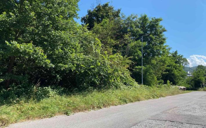 Anche San Michele potrà adottare il “daspo urbano”, presto un nuovo Asilo Nido?
