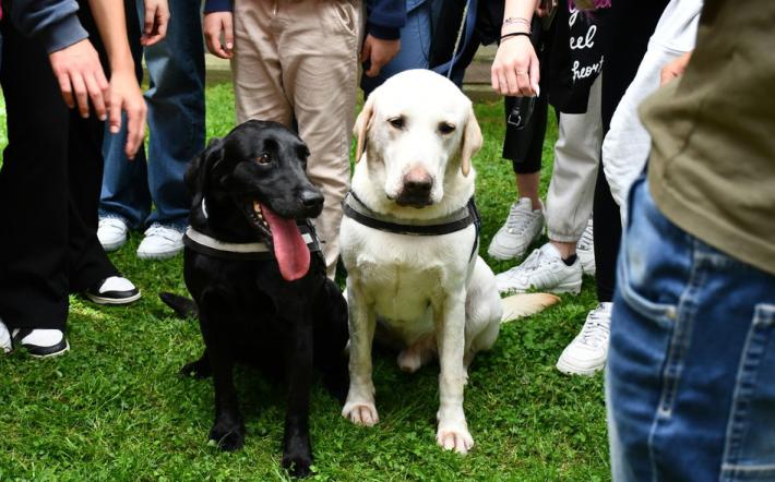#Senontiportononpart: Polizia di Stato contro abbandono animali in estate. "Basta davvero poco"