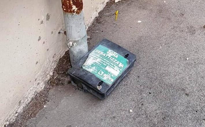Mondovì: avviati nuovi interventi di derattizzazione