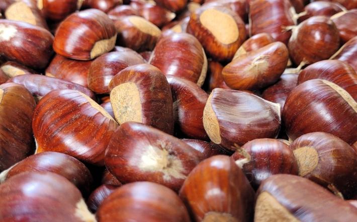 Chiusa di Pesio prepara le manifestazioni dell'autunno