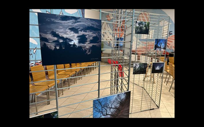 Mcs, la malattia di chi è ferito da tutto ciò che ci sta intorno. Al Lab 8 di “Mondovicino Shopping Center” mostra fotografica per sensibilizzare sul tema