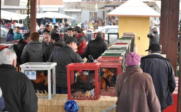 Morozzo: ufficiale il programma della Fiera del Cappone